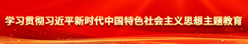 唔哈流水了好湿进去了学习贯彻习近平新时代中国特色社会主义思想主题教育