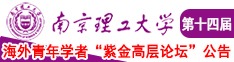 操阴日鸡巴免费南京理工大学第十四届海外青年学者紫金论坛诚邀海内外英才！